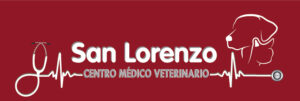 VETERINARIA LORENZO