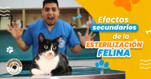 Veterinaria Los Pinos