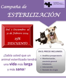 Veterinaria Martin