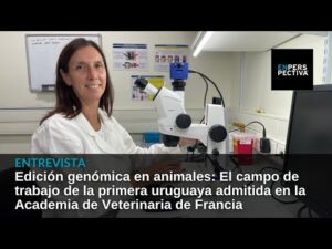 Veterinaria Martina
