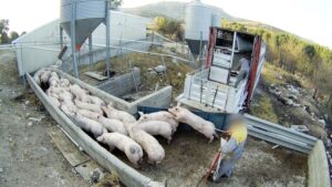 Veterinaria Mi Granja