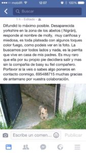 Veterinaria N De La Riestra