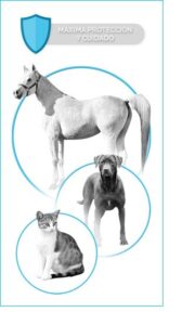 Veterinaria Osella