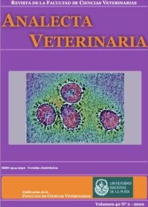 Veterinaria Panei