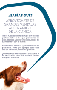 Veterinaria Pets Shop Los Amigos