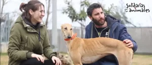 Veterinaria "Pulgosos"