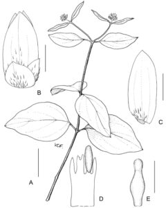 Veterinaria Quimili