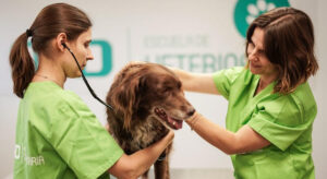 Veterinaria Recreo