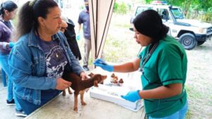Veterinaria San Felipe