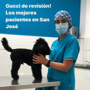 Veterinaria SAN JOSE