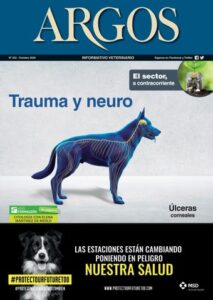 Veterinaria San Nicolas