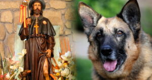 Veterinaria "San Roque"