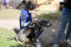 Veterinaria "Sapucay"