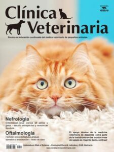 Veterinaria Shamrock