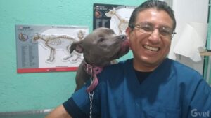 Veterinaria Snoopy