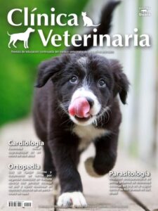 Veterinaria Tierra Gaucha