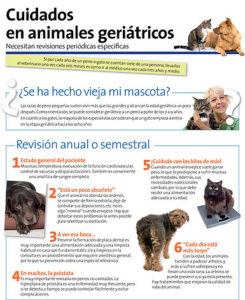 Veterinaria Vida