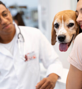 Veterinaria Virreyes