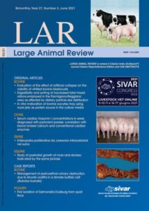 Veterinaria Volpe