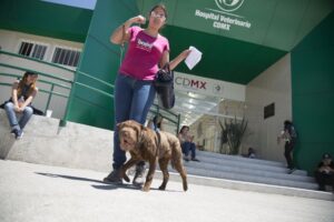 Veterinaria Zanetti