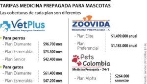 Veterinarias En Diamante