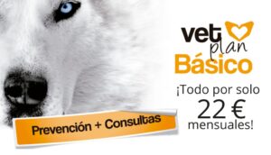 VipVet Clinica Veterinaria