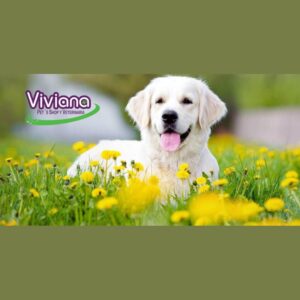 Viviana Pet Shop