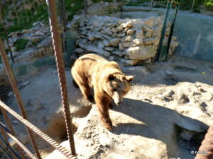 Zoo Pasion